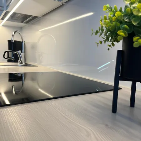 Apartment Kodikas Taeysin Kalustettu Ja Varustettu Yksioe 2-3 Hloe Logomo 1vrk-36kk Turku